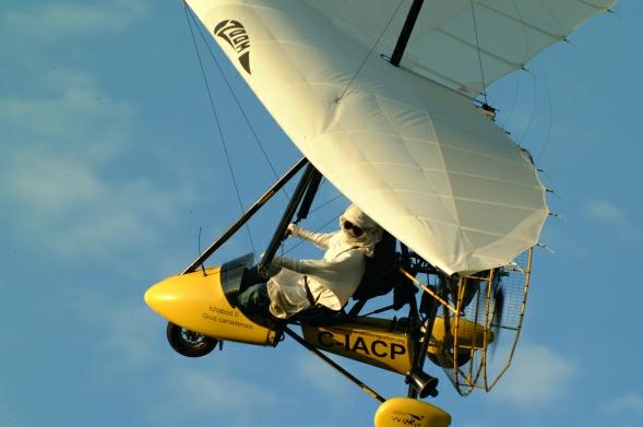 Whooping Cranes Following Operation Migration Ultralight Plane