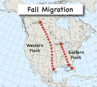 Whooping Crane Migration Map