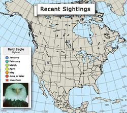 Bald Eagle Sightings Map