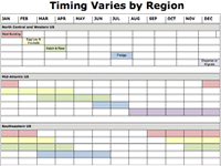 Annual Cycle Timetable