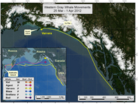 Map of Varvara's travels up to April 1