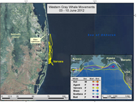 Map of Varvara's travels June 3-10, 2012