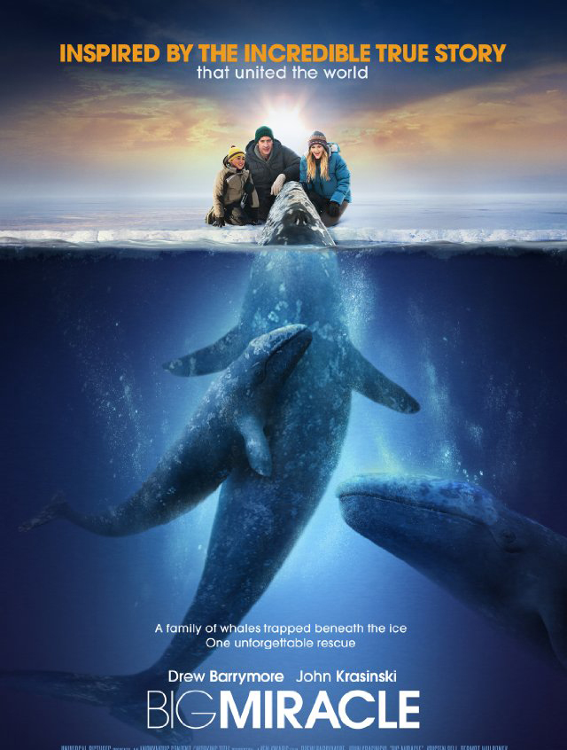 Poster for the motion picture called Big Miracle.