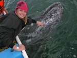 A teenager touches the skin of a baby whale in Laguna Ojo de Liebre.