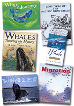 Gray Whale Trade Books