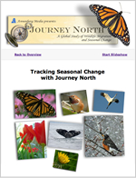 Tracking Seasonal Change With Journey North