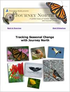 Tracking Seasonal Change With Journey North