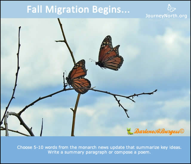 Monarch Butterfly Migration Journal