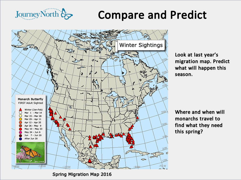 Timing of Spring Migration