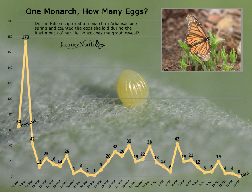 Monarch Butterfly Migration Journal