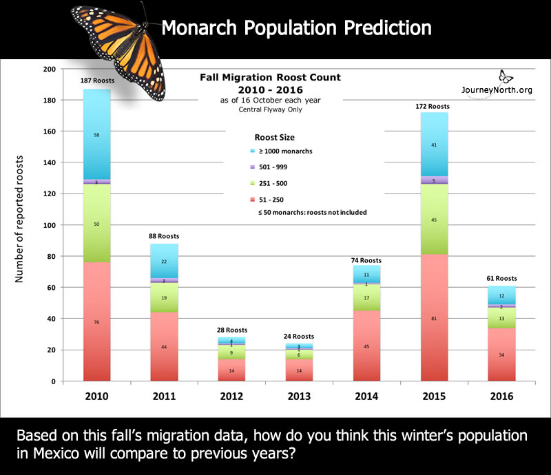 Monarch Butterfly Migration Data