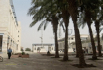  Our City Hall