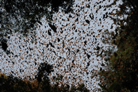 DepartureElRosario031009_04