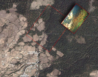 Satellite view of monarch butterfly sanctuary