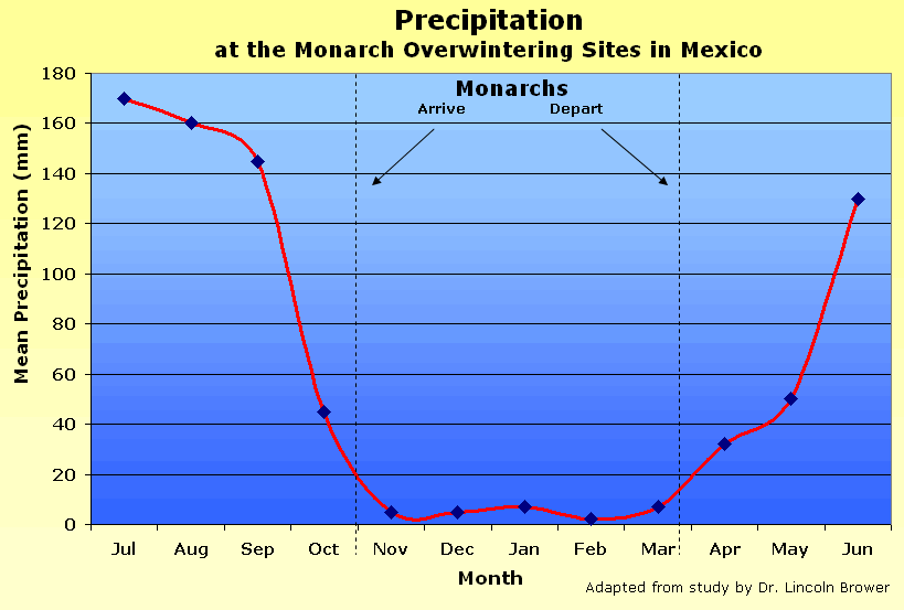 Moisture is Falling in Peak Dry Season at the Monarch Butterfly Sanctuary in Mexico