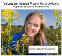 Volunteers Needed: Project Monarch Health