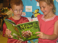 Reading Milkweed Visitors