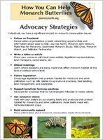 Monarch Conservation Advocacy