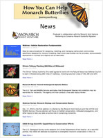 How you can help Monarch Butterflies at Sanctuary in Mexico
