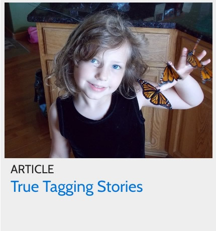 Article: True Tagging Stories