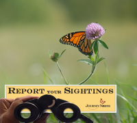 Monarch butterfly migration map