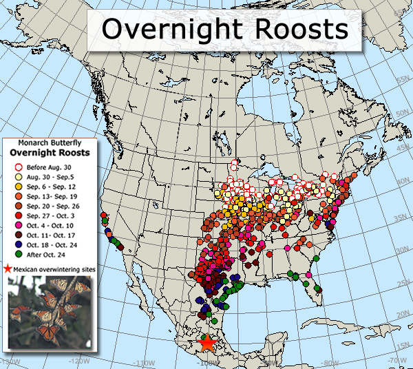 Map of Overnight Roosts