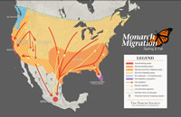 Monarch Butterfly Migration Map
