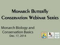 Webinar