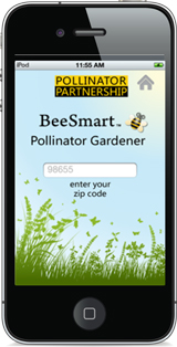 Monarch Butterfly Gardening Regional Plants