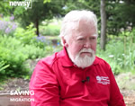 Monarch Butterfly Migration Video