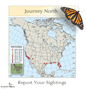 Monarch Butterfly Migration Map