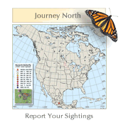 Monarch Butterfly Migration Map