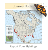 Monarch Butterfly Migration Map