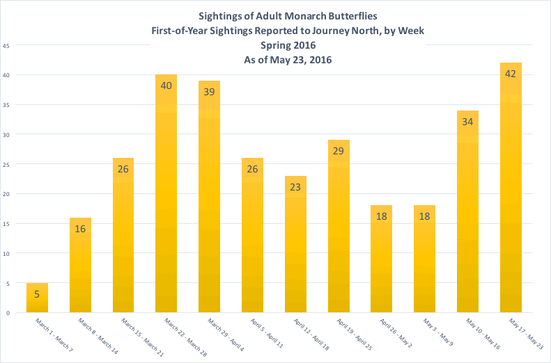 Chart of Monarch Butterfly Migration Sightings per Week