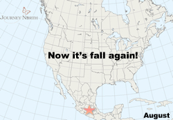 Monarchs born in the fall migrate to Mexico