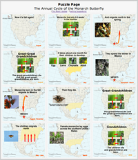 Puzzle Page: The Monarch Butterfly's Annual Cycle