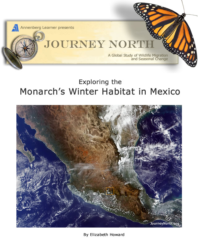 Monarch Butterfly Migration to Mexico