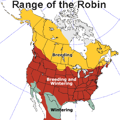 Range map for American Robin