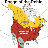 Range map of the robin