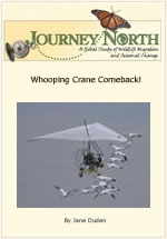 Whooping Crane Migration Journal Cover