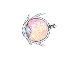 Click on diagram for a larger, labeled view