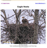 Bald Eagle Nests