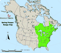 Spring Peeper map