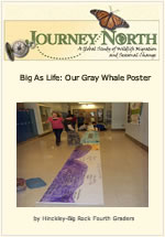 Cover of slideshow