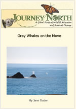 cover of slideshow