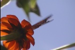 FlightPowered12