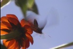 FlightPowered11
