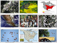Photo Gallery