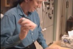 NectarFeedingFink03