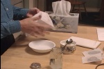 NectarFeedingFink04